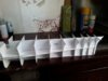 20160806_152029.jpg