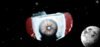 shuttle4%20a_zpsr3i3em8f.jpg