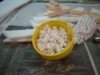 100_7750.JPG