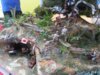 20160306_115454.jpg