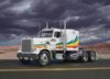 csm_07455__i_peterbilt_359_conventional_00dc58073a.jpg