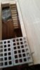 20160814_162837.jpg