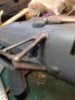 image.jpeg