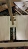 20160816_055742.jpg