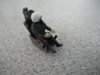 DSCN1978.JPG