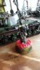 20160527_144719.jpg