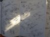 20170411_080217.jpg