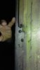 IMAG0086.jpg