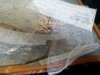 20170413_165733.jpg