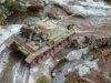 DSC01533.JPG