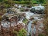 DSC01540.JPG