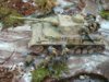 DSC01556.JPG