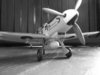 Darlo model fair 005.jpg