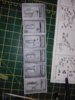 IMG-20170702-WA0004.jpeg