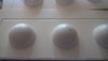 WP_20180908_17_31_55_Pro.jpg