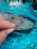 IMG_20180719_173907.jpg