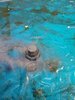 IMG_20180721_151203.jpg