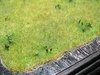 574504.jpg