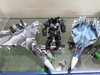 IMG-20181216-WA0037.jpg