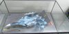 IMG-20181216-WA0048.jpg