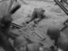 Omaha Beach 051.jpg
