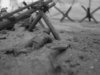 Omaha Beach 048.jpg
