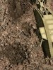 mk1-058_2018-11-5.jpg