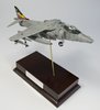 Harrier04.jpg