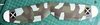 top wing decalled.jpg