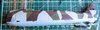 port fuselage.jpg