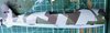 stbd fuselage.jpg