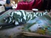 P1040088.JPG