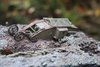 mk1-finished-010_2018-11-11.JPG