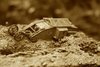 mk1-finished-019_2018-11-11.JPG