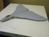 Wings on 003.jpg