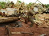 DSC05422.JPG