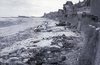 Juno beach-Canadian.jpg