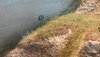 20180819_170338.jpg