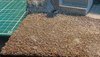 20180819_170301.jpg
