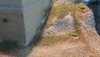 20180819_170255.jpg