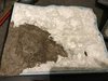 mk1-040_2018-10-15.jpg