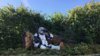 CDDDD806-83DB-4EEE-82AE-DC95BB24E778.jpeg