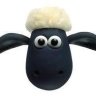Andy the Sheep