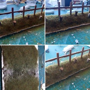 Attempted path and embankment with stumps.